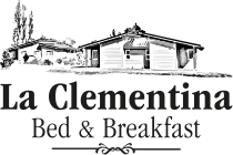 La Clementina - Bed & Breakfast en Epuyén